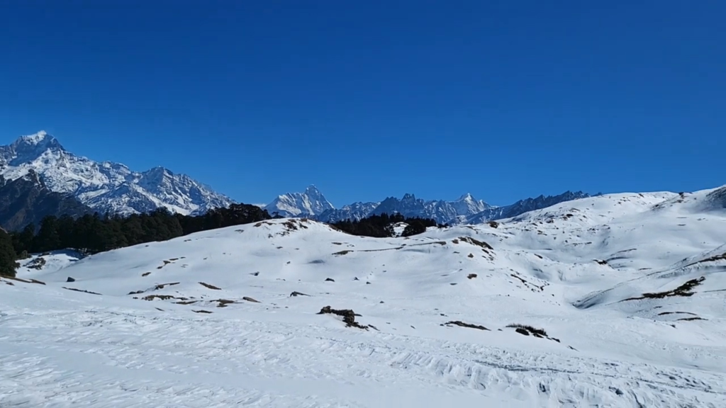 Gorson Bugyal Trek / Gurson Bugyal